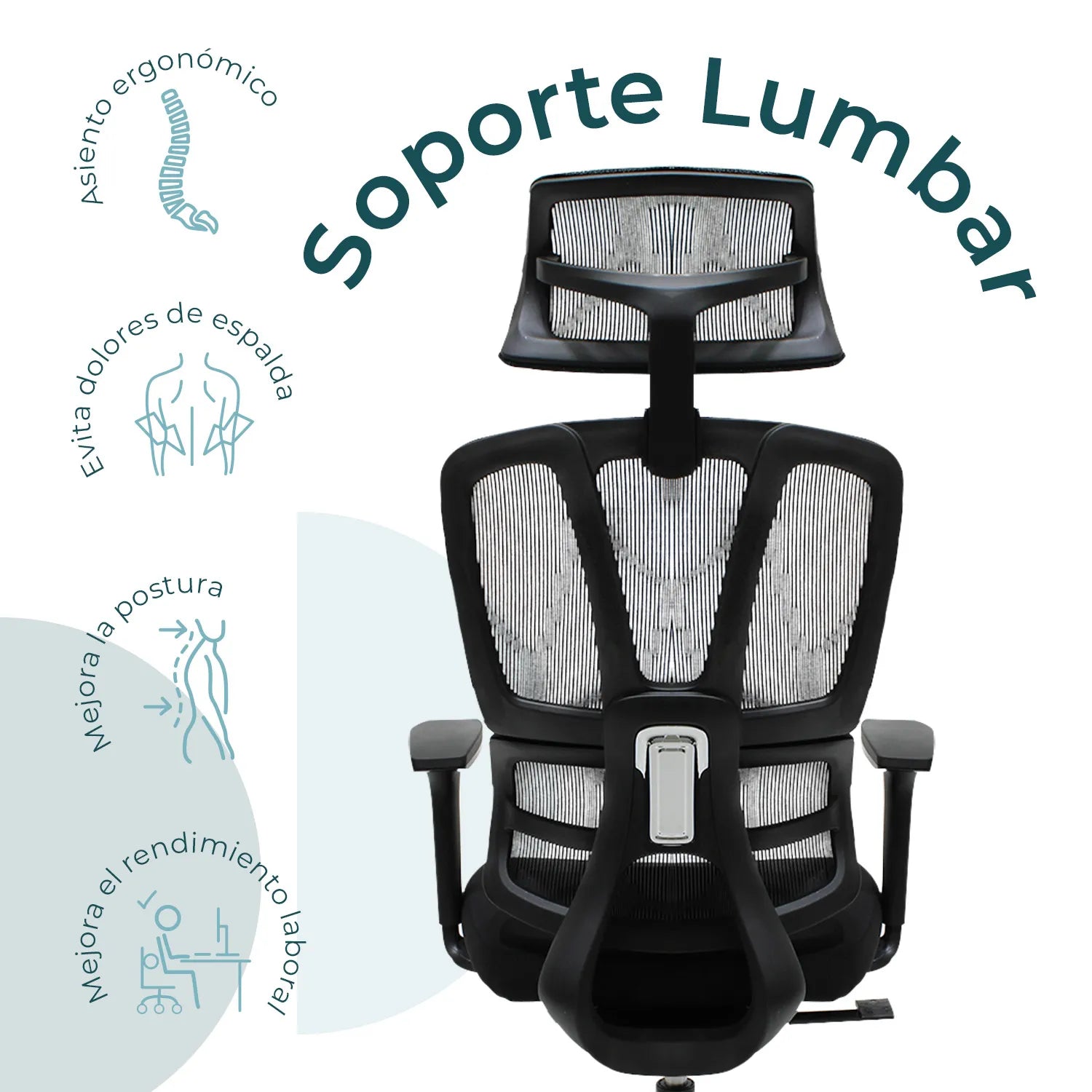 Silla Directiva Vilna 8348 9