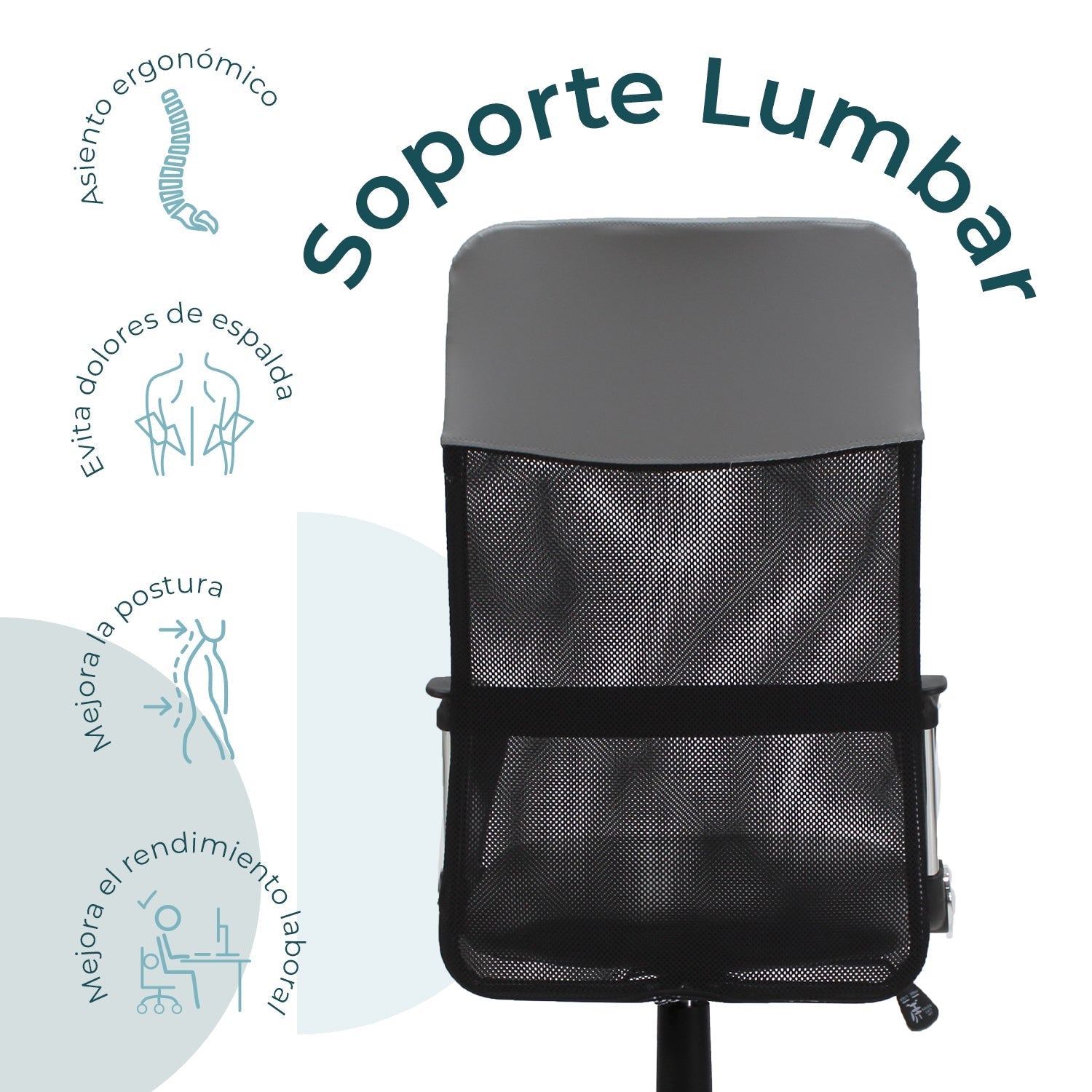 Silla Ejecutiva 2006A 9