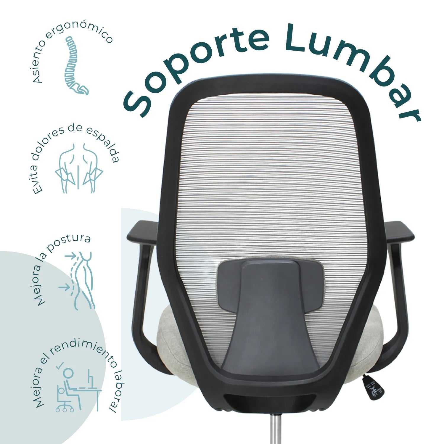 Silla Ejecutiva Bastia 9