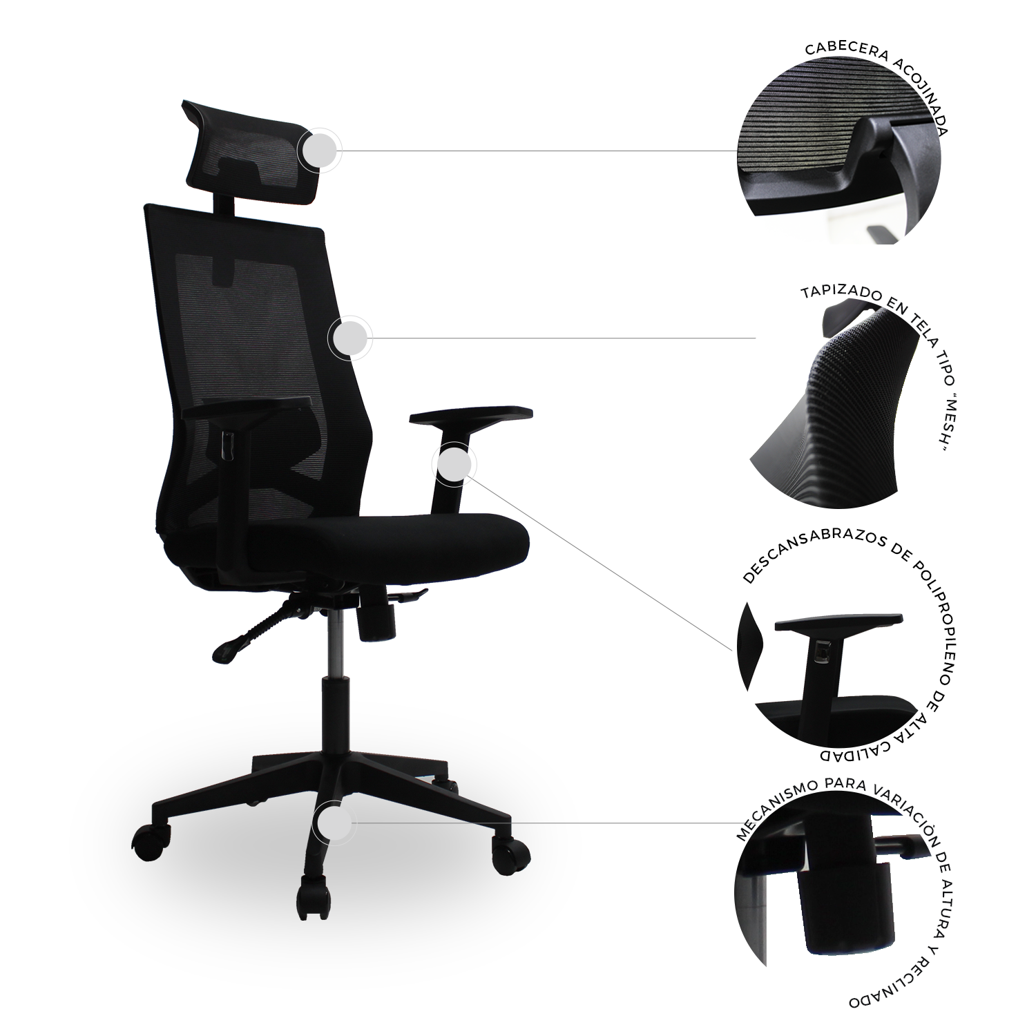 Sillón Directiva Carrara A 5