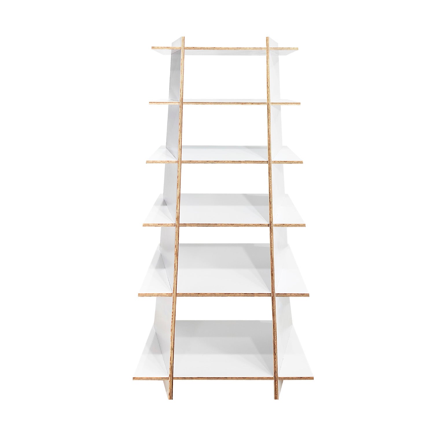 Librero Esquinero Reggo 5